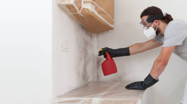 Professional Attic Mold Remediation technician working in West Point, NY